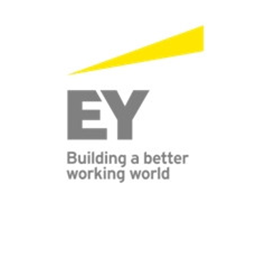 ERNST & YOUNG DANIŞMANLIK KUZEY YEMİNLİ MALİ MÜŞAVİRLİK SAN. TİC. A.Ş